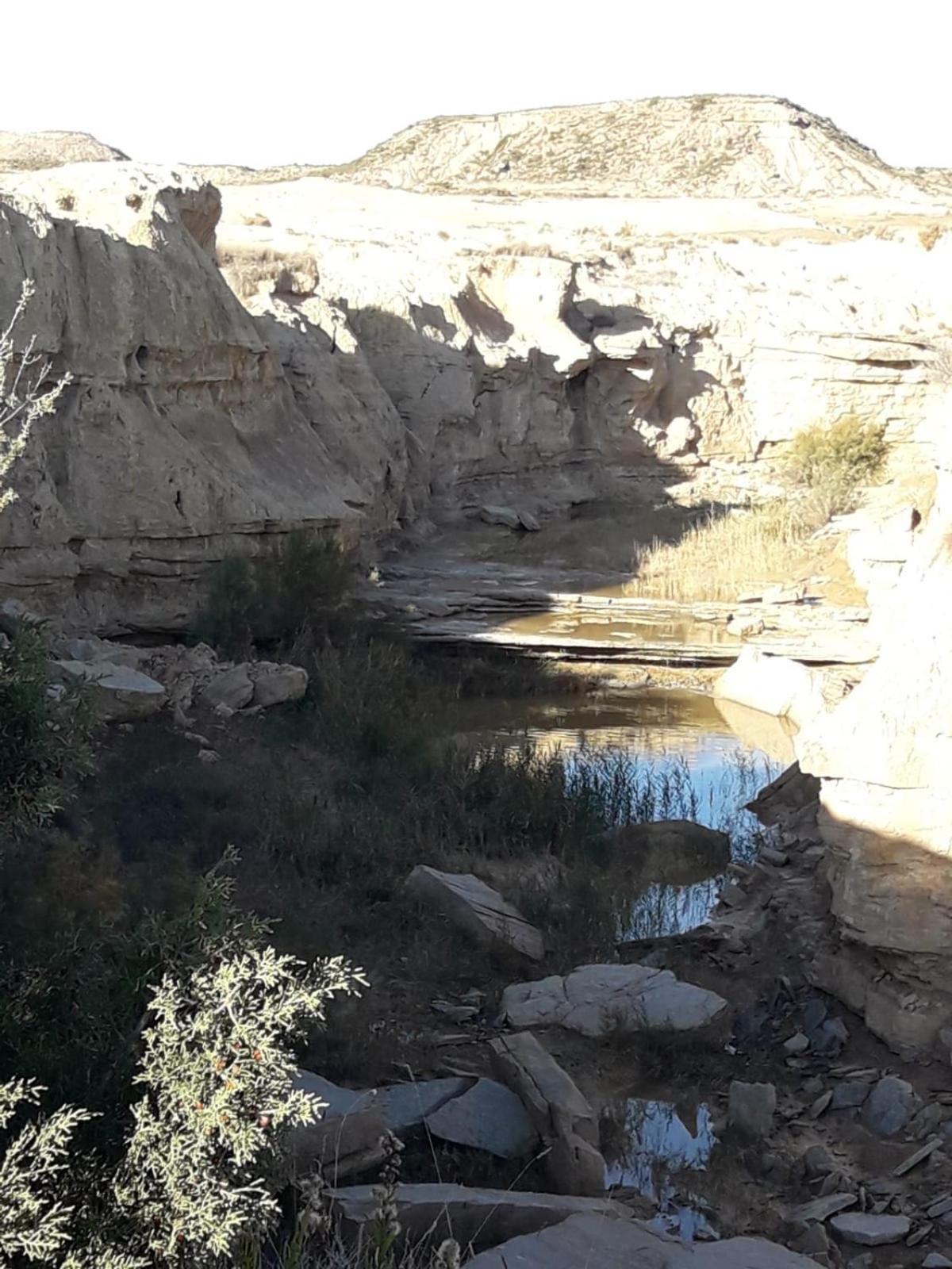 La Manguita Bardenas Villa Arguedas Luaran gambar